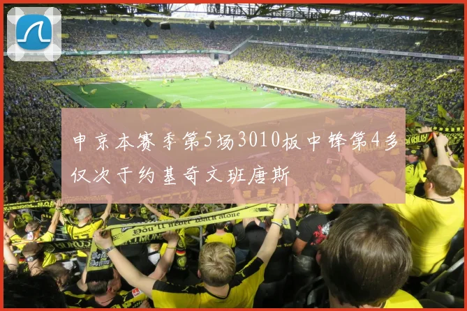 申京本赛季第5场3010板中锋第4多仅次于约基奇文班唐斯