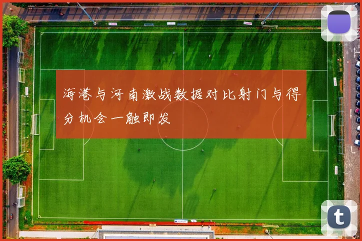 海港与河南激战数据对比射门与得分机会一触即发