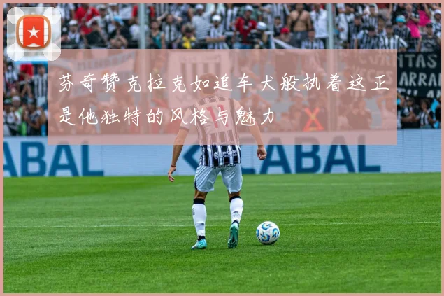 芬奇赞克拉克如追车犬般执着这正是他独特的风格与魅力